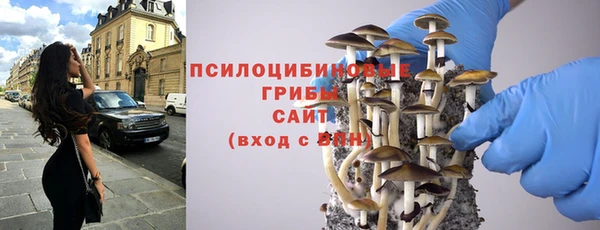 гидропоника Арсеньев