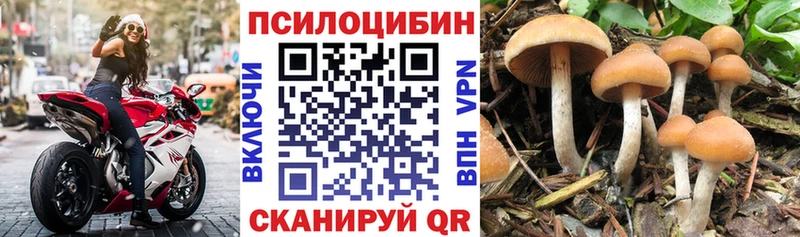 Галлюциногенные грибы мухоморы  Купить где  Михайловка 